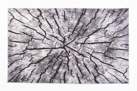 NOVO Strado modern tree trunk carpet for living room delicate grey velvet pattern Grey Trunk 200x300 cm