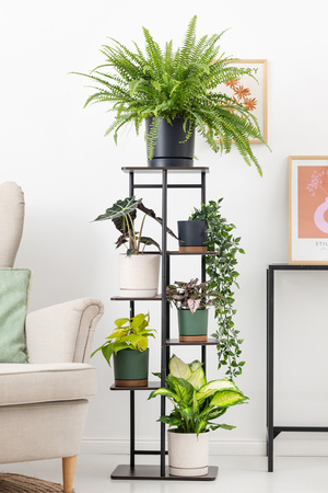 Duży stojący kwietnik 106cm metalowy 6 poziomów na kwiaty regał loft MONDO, czarny