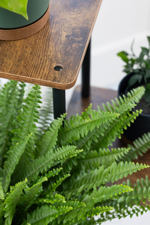 Kwietnik metalowy na kwiaty stojący wysoki 5 poziomów duży 106cm XL PALACE, czarny