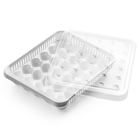 ORION Container organiser box for eggs 30 pcs