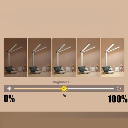 LED Desk Lamp - D20B (White)