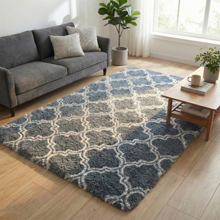 Dywan do salonu shaggy DECOR antypoślizgowy miękki puszysty modny 120x170 Silver Lantern