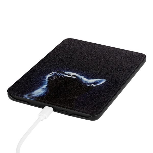 Kindle Paperwhite 6/ Colorsoft/ Signature Edition- Moon Cat graphic case