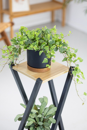 Kwietnik stojący metalowy stojak na kwiaty rośliny loft 2 poziomy Nexus