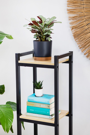 Kwietnik stojący metalowy stojak na kwiaty rośliny loft Vertico 105 cm