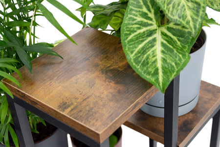 PLAZA 4-level flowerbed - Venge