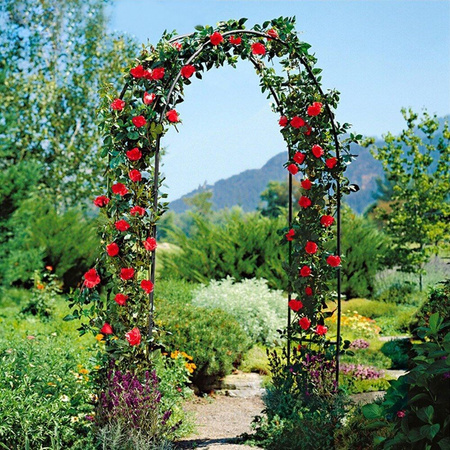 Garden Arch Metal 145x235 cm