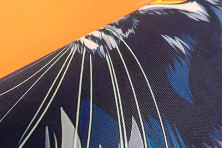 Dywan 3D Strado MainCoon 120x170 cm ze wzorem kota dla milośników zwierząt do salonu i pokoju