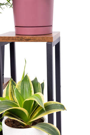 PLAZA 4-level flowerbed - Venge