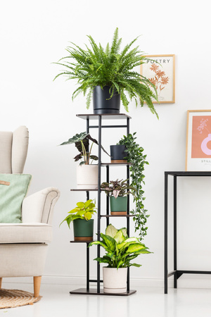 Duży stojący kwietnik 106cm metalowy 6 poziomów na kwiaty regał loft Mondo, czarny