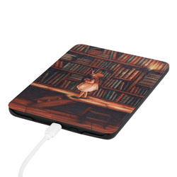 Kindle Paperwhite 6/ Colorsoft/ Signature Edition- Library Girl graphic case