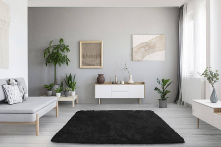 Dywan Shaggy 200x250 cm, czarny BlackSky - miękki, puszysty do salonu i sypialni