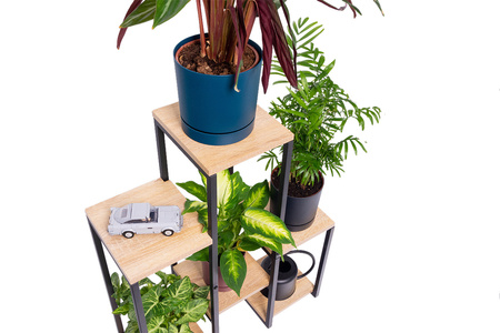 PANORAMA 6 level metal standing flower stand - elegant flower and plant stand OAK