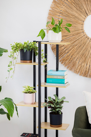 Kwietnik stojący metalowy stojak na kwiaty rośliny 6 poziomów Castle 125 cm