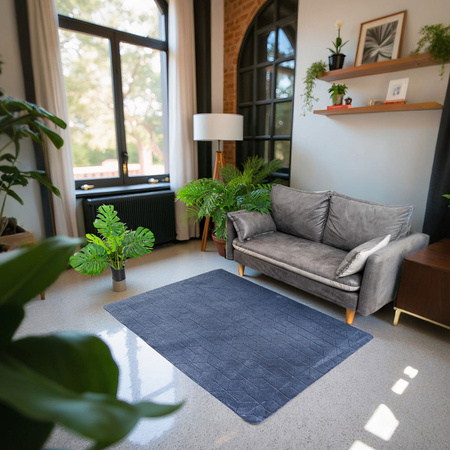 Dywan Rabbit 3D pluszowy miękki jedwabisty futro królika 160x220, szary