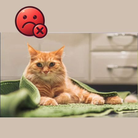 8x Podkładki antypoślizgowe StradoGrip samoprzylepne pod dywan wykładzinę 