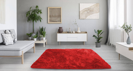 Shaggy Strado 250x300 BloodyRed room carpet (Bright red)