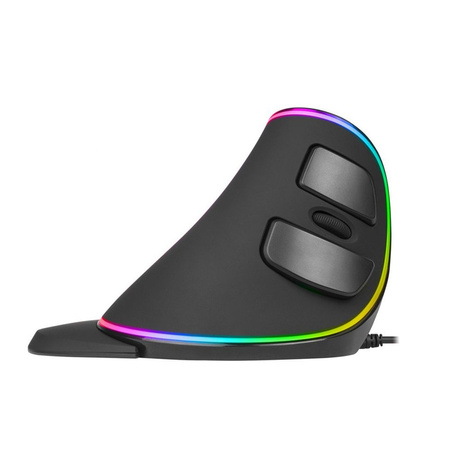 Ergonomic Computer Mouse - Delux M618 RGB Black