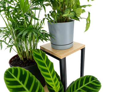 Kwietnik 70 cm stojący metalowy stojak na kwiaty 4 poziomy półki loft Plaza