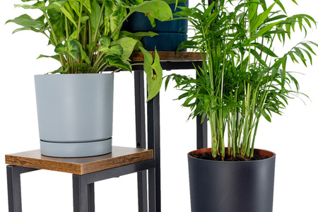 PLAZA 4-level flowerbed - Venge