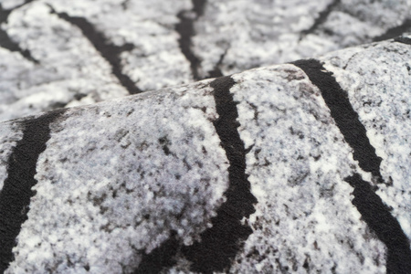 NOVO Strado modern tree trunk carpet for living room delicate grey velvet pattern Grey Trunk 120x160 cm