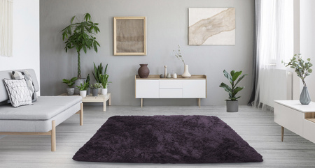 Dywan pokojowy Shaggy Strado 180x250 Grey-Purple (Szary-fiolet)