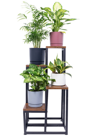 PLAZA 4-level flowerbed - Venge