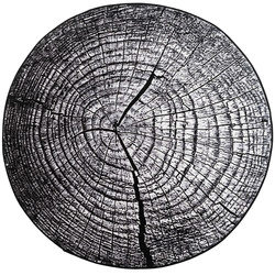 Dywan Novo 120x120 cm, Szary Pień - miękki do salonu i sypialni