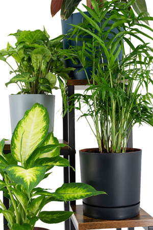 PLAZA 4-level flowerbed - Venge