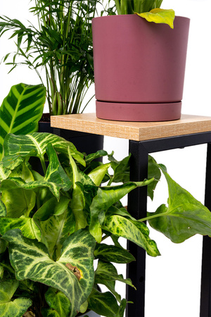 PLAZA 4-tier flowerbed - Oak