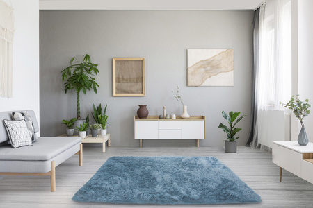 Shaggy Strado SilverFur 160x200 cm light grey carpet - soft fluffy carpet for living room and youth room