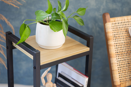 Kwietnik Vertico stojący metalowy stojak na kwiaty rośliny loft 65x35x30cm