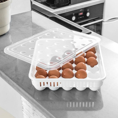 ORION Container organiser box for eggs 30 pcs