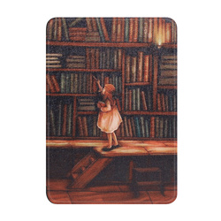 Kindle Paperwhite 6/ Colorsoft/ Signature Edition- Library Girl graphic case