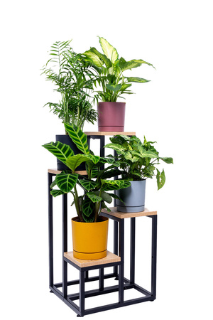 Kwietnik 70 cm stojący metalowy stojak na kwiaty 4 poziomy półki loft Plaza