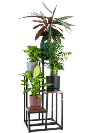 PLAZA 4-level flowerbed - Venge