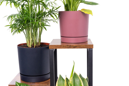 PLAZA 4-level flowerbed - Venge