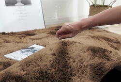 Shaggy Ombre Strado 160x160 Round Carpet by OmbreCoffee (Brown)