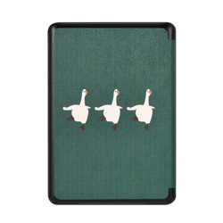 Etui graficzne do Kindle Paperwhite 6 / Kindle Paperwhite Colorsoft / Signature Edition - ochronne