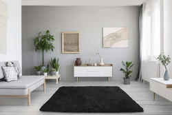 Shaggy Strado 60x120 BlackSky Carpet (Black)