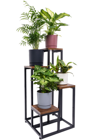 PLAZA 4-level flowerbed - Venge