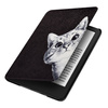 Etui Graphic Kindle Paperwhite 6/ Colorsoft/ Signature Edition - White Cat