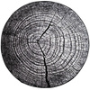 NOVO Strado modern tree trunk carpet for living room grey pattern Grey Trunk 100x100 cm