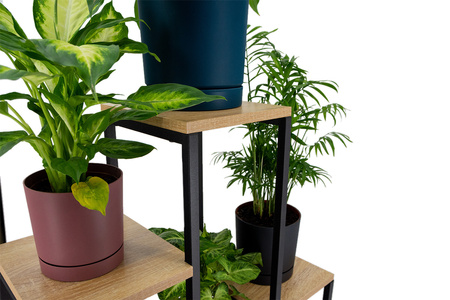 PANORAMA 6 level metal standing flower stand - elegant flower and plant stand OAK