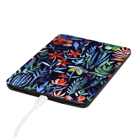 Puzdro grafické na Kindle Paperwhite 6 / Kindle Paperwhite Colorsoft / Signature Edition 2024 7 - ochranné