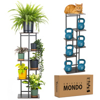 Mondo