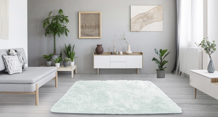 Shaggy Strado room carpet 120x170 WhiteLime (White Lime)