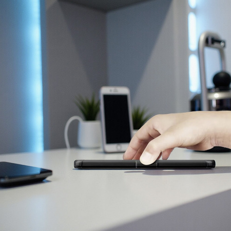 Kindle Paperwhite 6/ Colorsoft/ Signature Edition- Goose graphic case