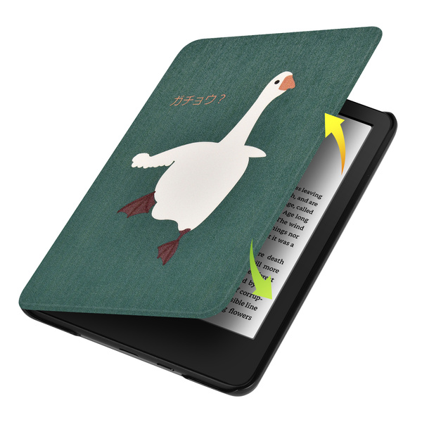 Puzdro grafické na Kindle Paperwhite 6 / Kindle Paperwhite Colorsoft / Signature Edition - ochranné