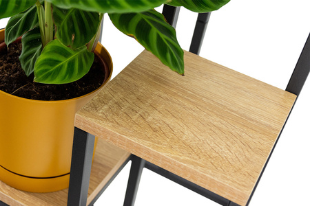 PLAZA 4-tier flowerbed - Oak